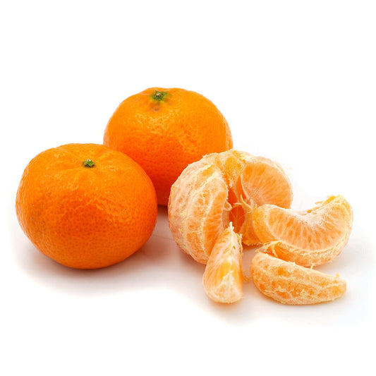 Späte Ciaculli-Mandarinen (Citrus reticulata) - 120-150 cm, Süße aus Sizilien für Ihren Garten