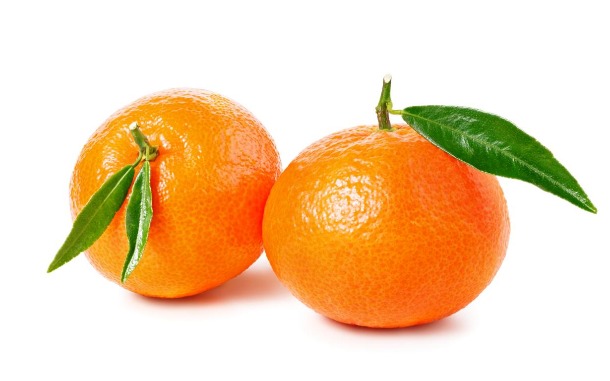 Zitronenbaum Clementine Spinoso (120-150 cm) – Süße Clementine für deinen Garten