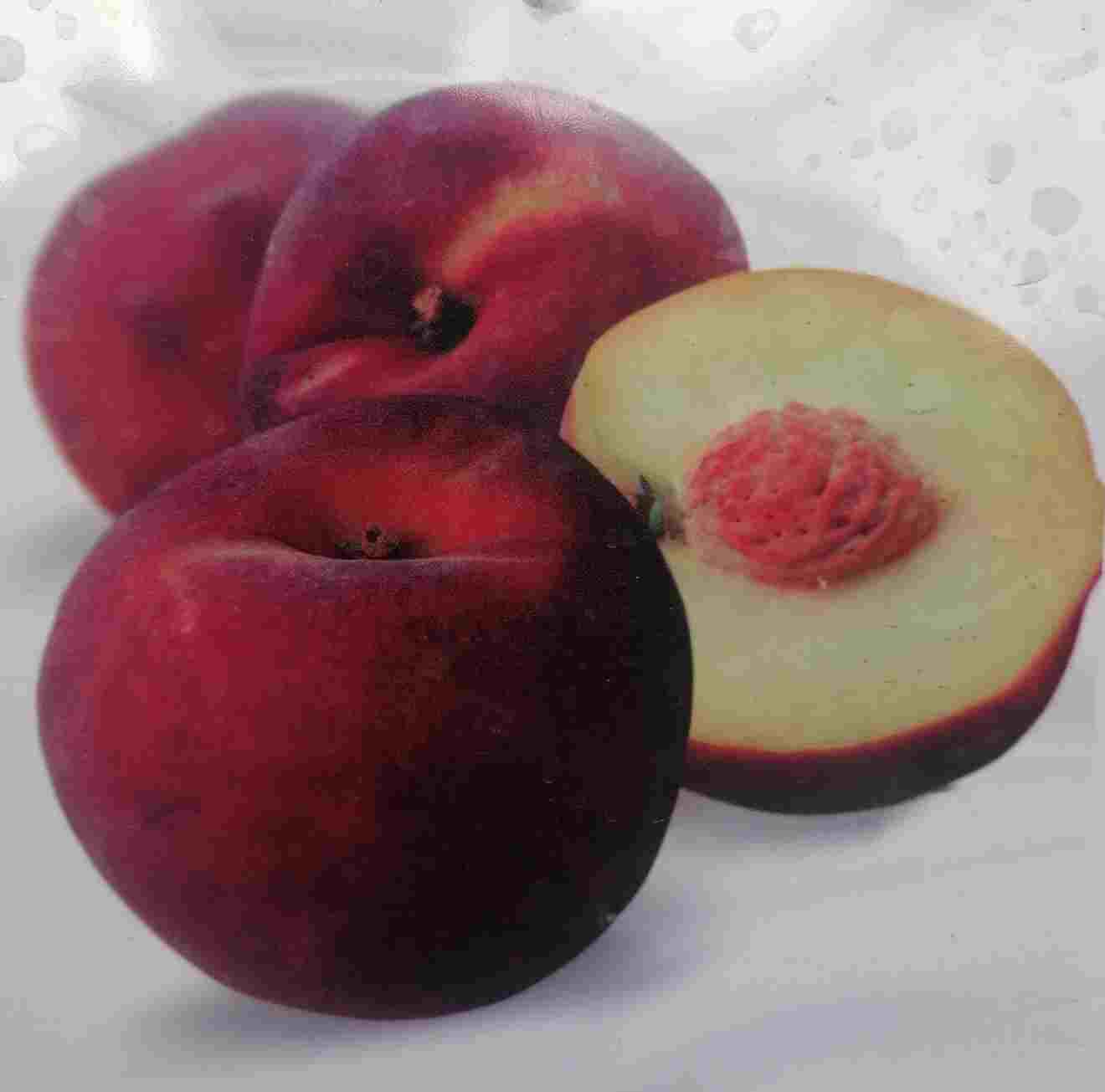 Prunus persica var. persica 'Springcrest' 170-200 cm / Stamm 80-100 cm - Pfirsich - Obstbaum