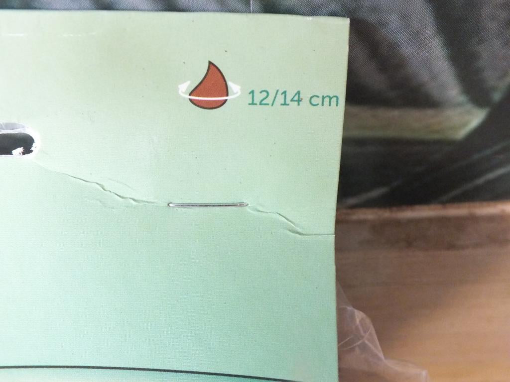 7 cibulovin narcisů Golden Dawn - mrazuvzdorné rostliny do zahrady a na balkon - trvalky - do květináčů a záhonů