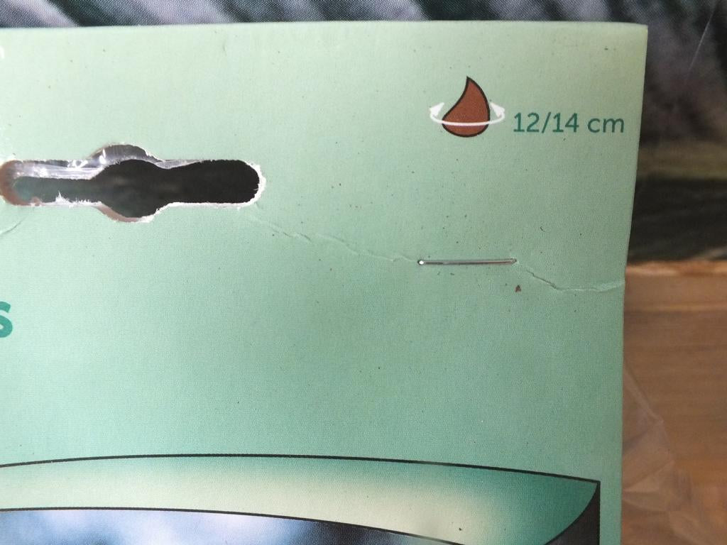 7 Narzissen Dellan Blumenzwiebeln - winterharter Pflanzen für Garten und Balkon -mehrjährig - für Topf und Beet