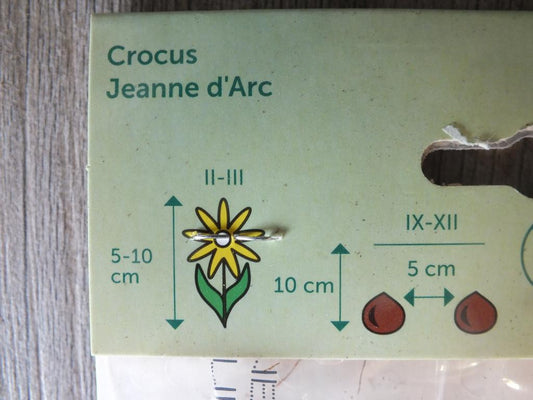 15 kusů krokusů XXL, cibuloviny, druhová směs - mrazuvzdorné rostliny do zahrady a na balkon - trvalky - do květináčů a záhonů
