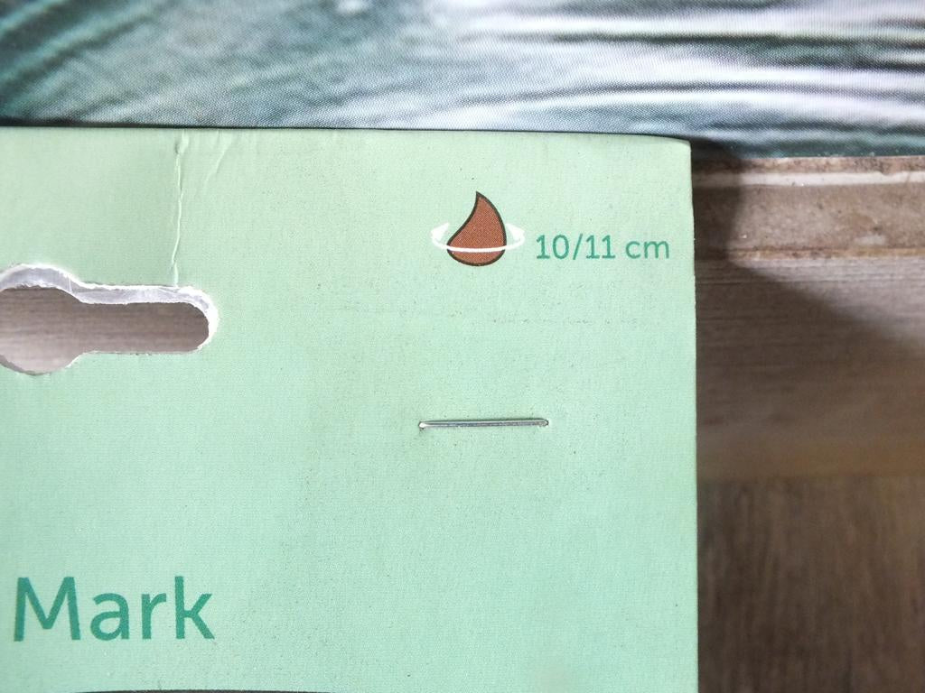 7 x cibule tulipánů Leen Van der Mark - mrazuvzdorné rostliny do zahrady a na balkon - trvalky - do květináčů a záhonů