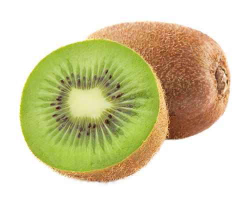 Kiwi Pflanze 30 cm Actinidia deliciosa - Chinesische Stachelbeere