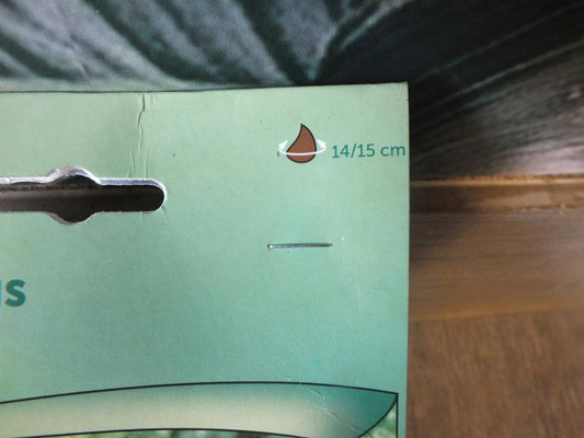 3 hyacinty - cibuloviny hyacintů - mrazuvzdorné rostliny do zahrady a na balkon - trvalky - do květináčů a záhonů