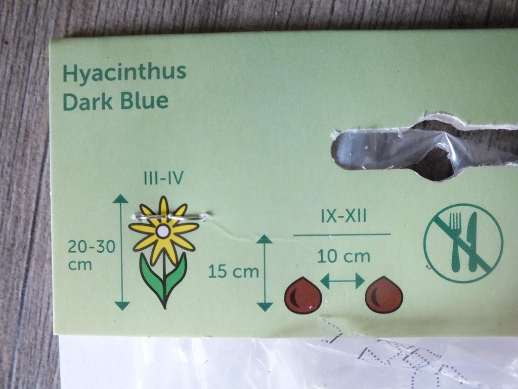 3 Hyacinthus - Hyazinthen Dark Blue Blumenzwiebeln - winterharter Pflanzen für Garten und Balkon -mehrjährig - für Topf und Beet