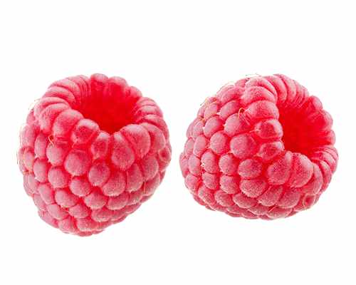 Himbeere Aroma-Queen - Rubus idaeus Aroma Queen 60-70 cm