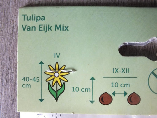 7 x cibule tulipánů Van Eijk Mix - mrazuvzdorné rostliny do zahrady a na balkon - trvalky - do květináčů a záhonů