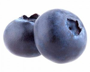Vaccinium corymbosum Pioneer - Kulturheidelbeere, Hochbuschige Heidelbeere