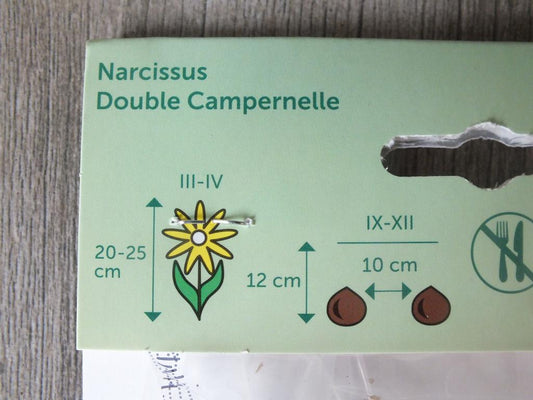 7 narcisů, cibule dvoulistých Campernelles - mrazuvzdorné rostliny do zahrady a na balkon - trvalky - do květináčů a záhonů