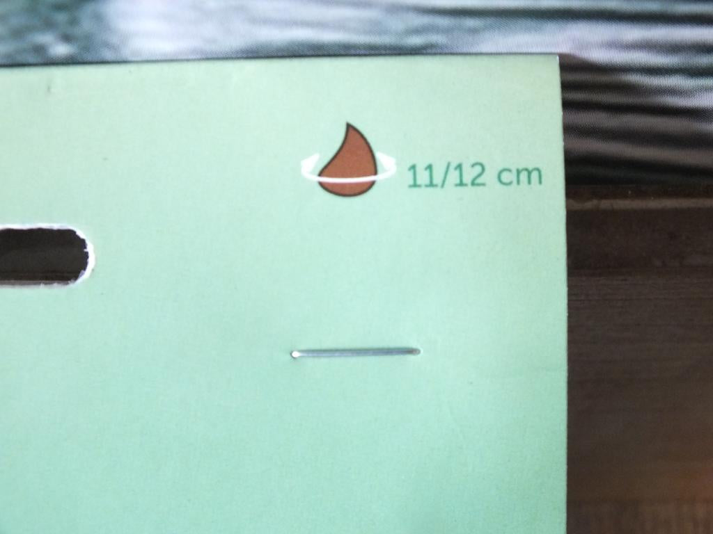 7 x cibule tulipánů Arma - mrazuvzdorné rostliny do zahrady a na balkon - trvalky - do květináčů a záhonů