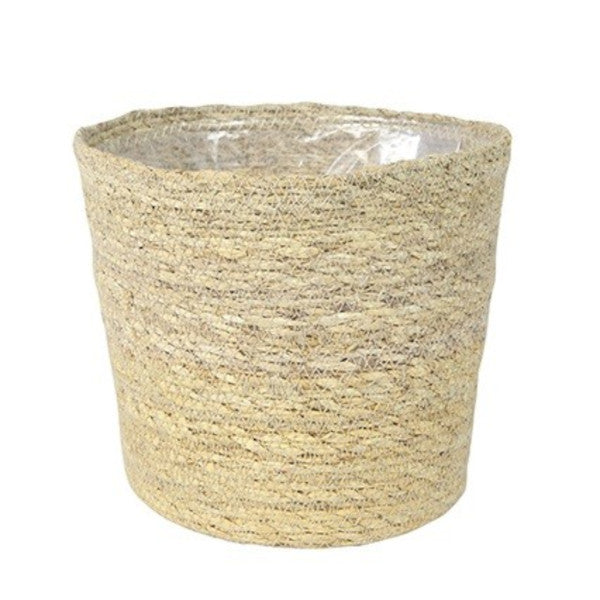 Zlatá ovocná palma Areková palma Chrysalidocarpus lutescens