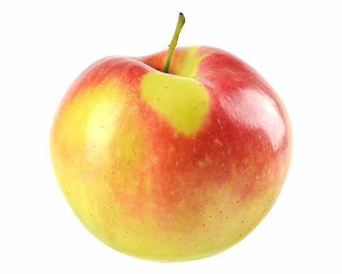 Herbstapfel 'Gala' - Malus 'Gala'