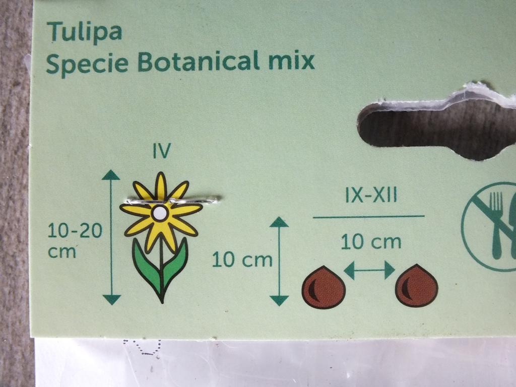 10 x Botanická směs cibulí tulipánů - mrazuvzdorné rostliny do zahrady a na balkon - trvalky - do květináče a záhonu