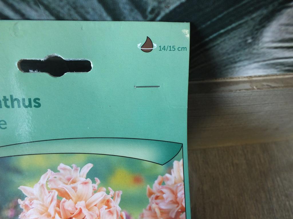 3 hyacinty - oranžové cibule hyacintu - mrazuvzdorné rostliny do zahrady a na balkon - trvalky - do květináčů a záhonů