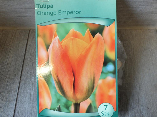 7 x Orange Emperor Tulpenzwiebeln - winterharter Pflanzen für Garten und Balkon -mehrjährig - für Topf und Beet