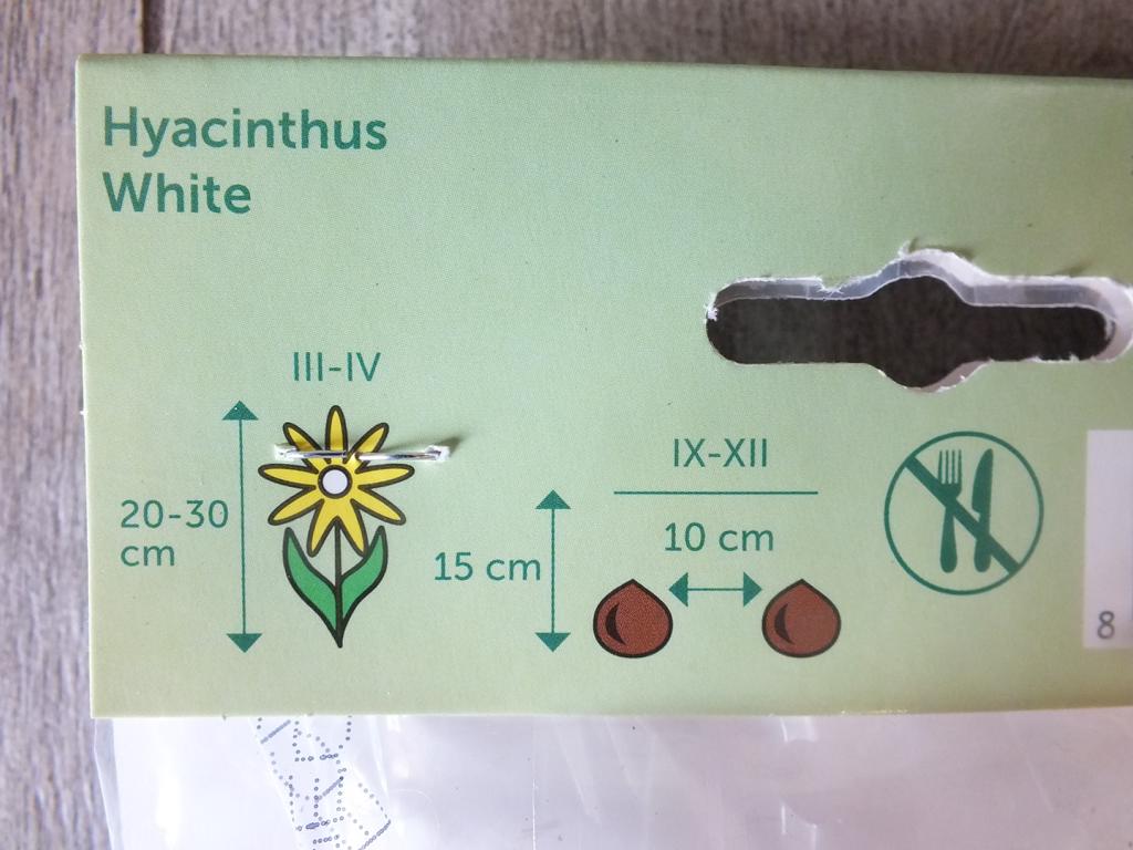 3 Hyacinthus - Hyazinthen Weiß Blumenzwiebeln - winterharter Pflanzen für Garten und Balkon -mehrjährig - für Topf und Beet