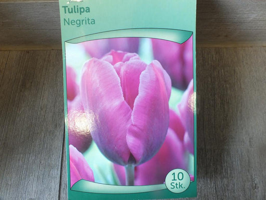 10 x Negrita Tulpenzwiebeln - winterharter Pflanzen für Garten und Balkon -mehrjährig - für Topf und Beet