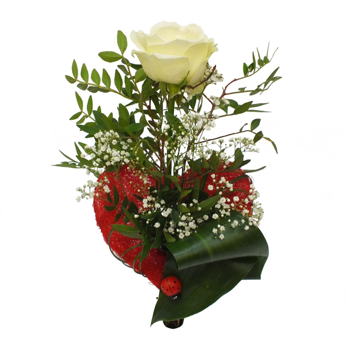Langstielige weiße Rose (ca. 50 cm) in rotem Herz – Blumen-Senf®