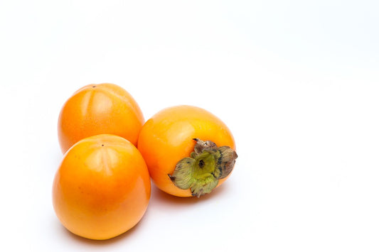 Kaki Baum Diospyros kaki 'Fuyu' 160–200 cm – winterharte Kaki-Pflaume, Persimone, Kakipflanze im Topf