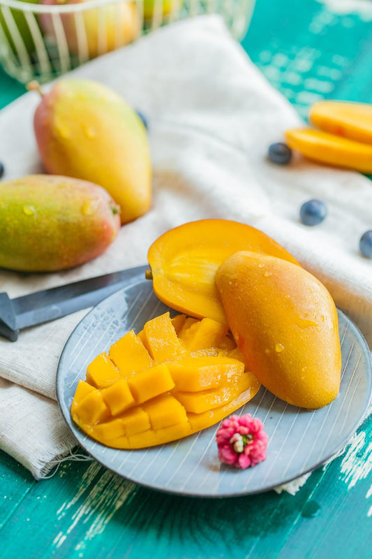 Mango-Pflanze „Kent“ (Mangifera indica) veredelt – ca. 140–180 cm Gesamthöhe inkl. Topf – tropisches Obstgehölz für Garten & Wintergarten