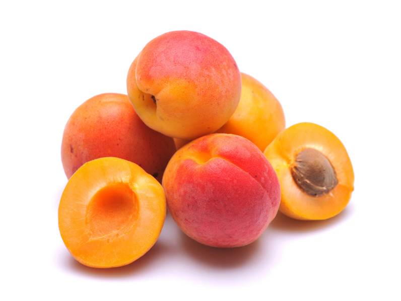 Aprikosenbaum Sungiant – Prunus armeniaca | Selbstfruchtende Aprikose 100–140 cm | Obstbaum für Garten & Kübel