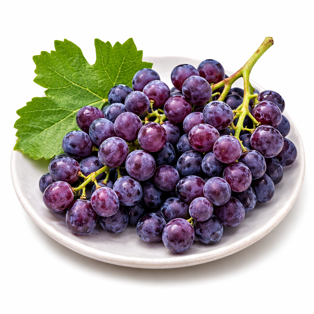 2 červené stolní hrozny 'Boskoop Glory' (Vitis vinifera) – mrazuvzdorná réva, 30–50 cm včetně květináče, aromatické hrozny do zahrady a na terasu