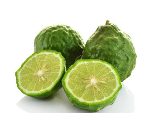 Bio Kaffir-Limette  Citrus Hystrix Kaffir Lime Kaffernlimette Papeda Combava
