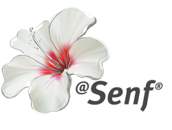 Blumen-Senf®